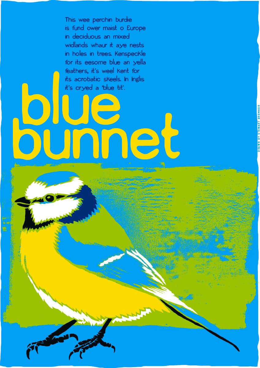 Blue bunnet – poster