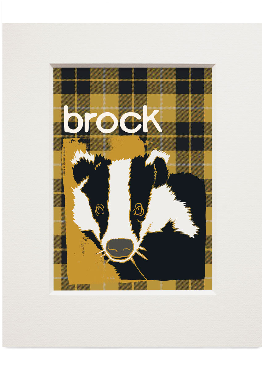 Brock oan tartan – small mounted print - Indy Prints by Stewart Bremner