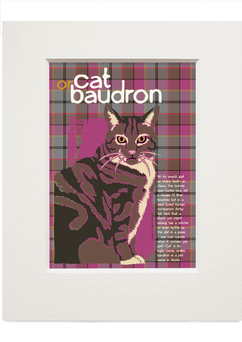 Cat or baudron oan tartan – small mounted print