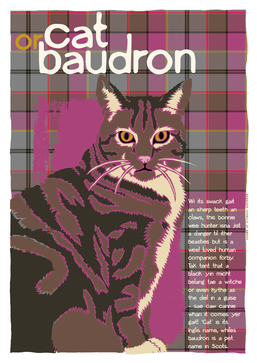 Cat or baudron oan tartan – giclée print – Indy Prints by Stewart Bremner