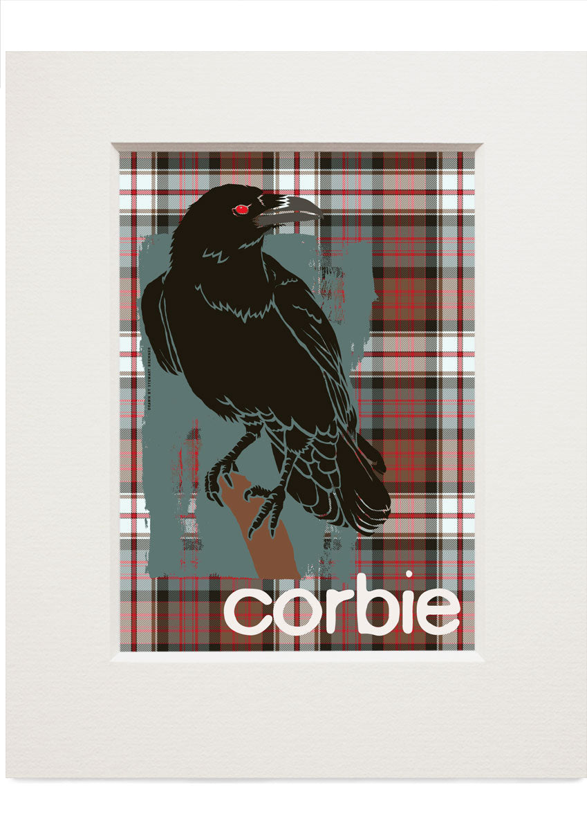 Corbie oan tartan – small mounted print - Indy Prints by Stewart Bremner