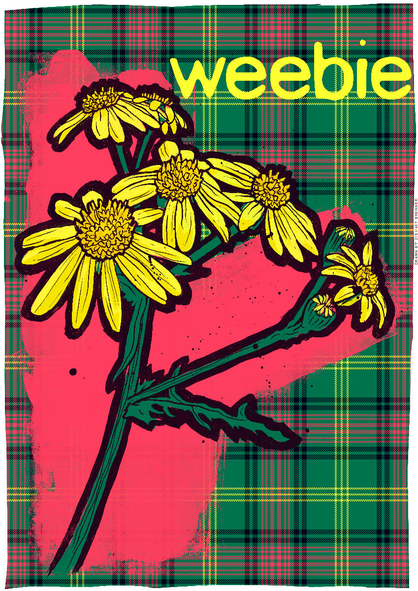 Weebie oan tartan – poster