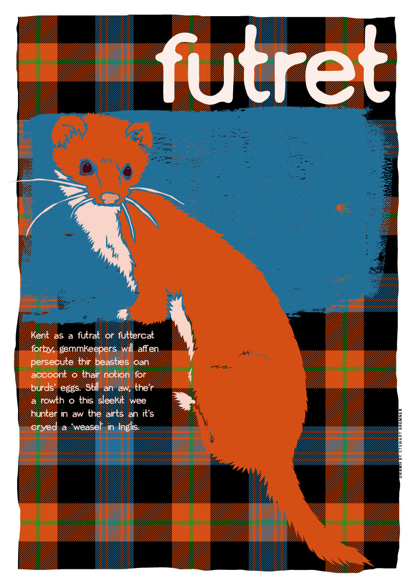 Futret oan tartan – giclée print – Indy Prints by Stewart Bremner