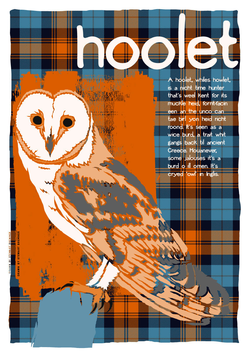 Hoolet oan tartan – giclée print – Indy Prints by Stewart Bremner