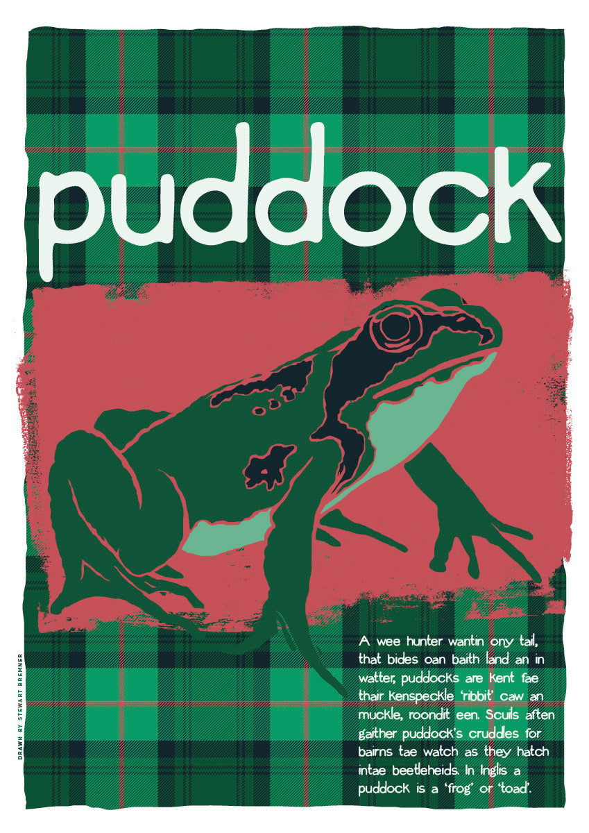 Puddock oan tartan – poster – Indy Prints by Stewart Bremner