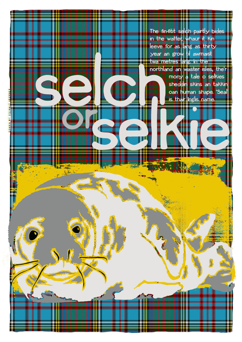 Selch or selkie oan tartan – giclée print – Indy Prints by Stewart Bremner