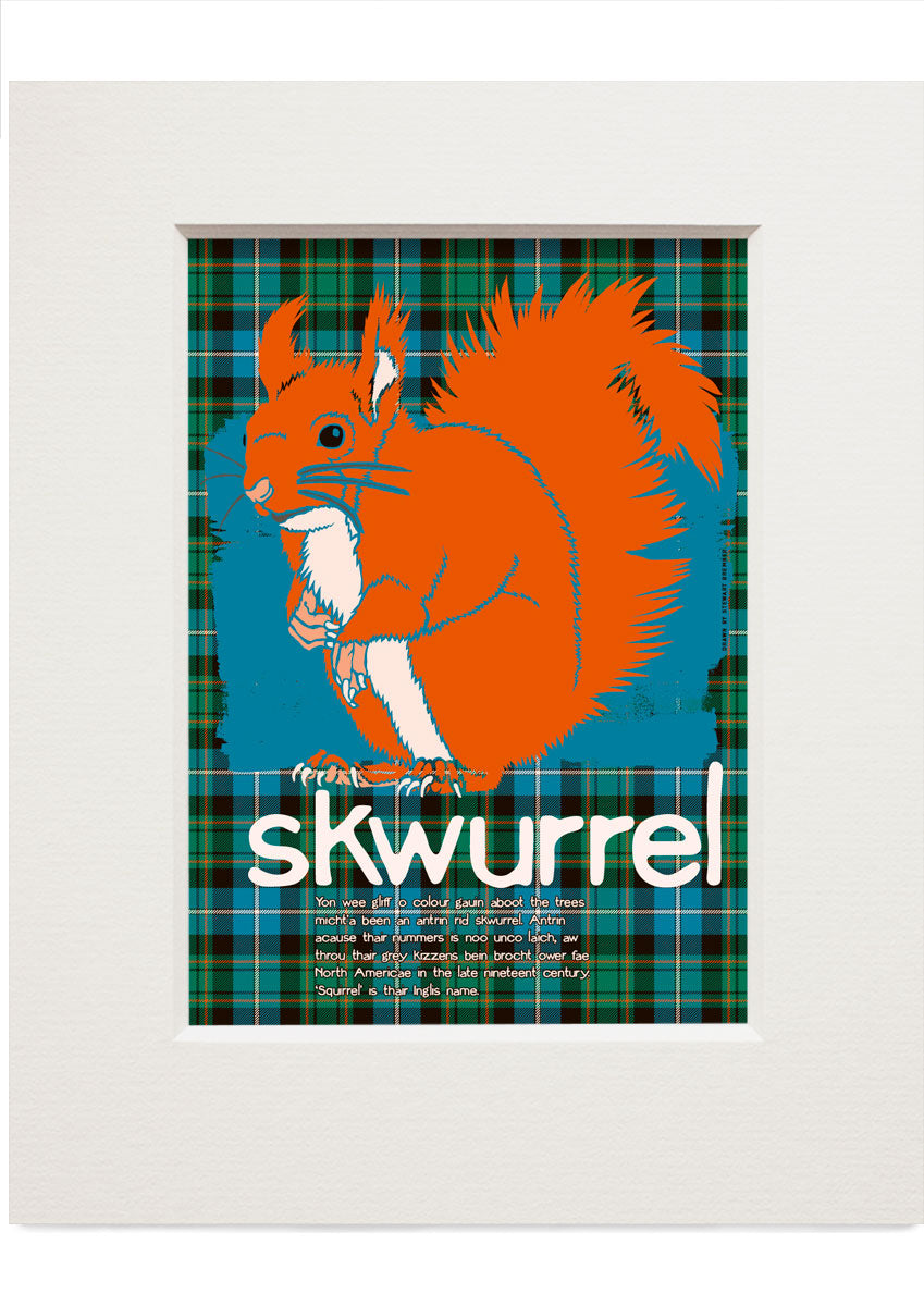 Skwurrel oan tartan – small mounted print