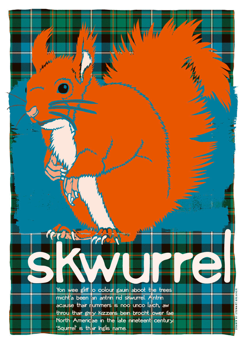Skwurrel oan tartan – giclée print – Indy Prints by Stewart Bremner