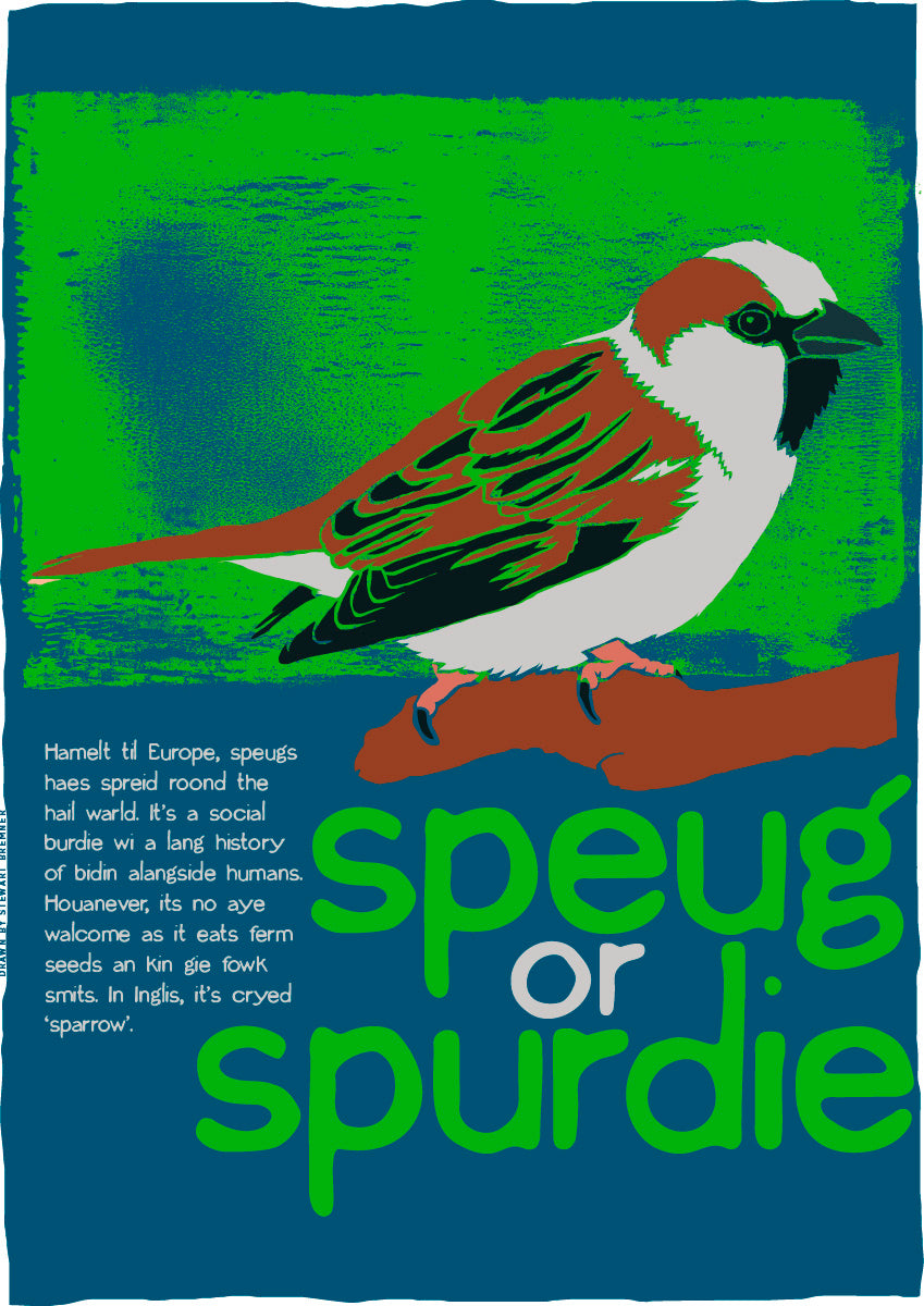 Speug or spurdie (blue) – poster