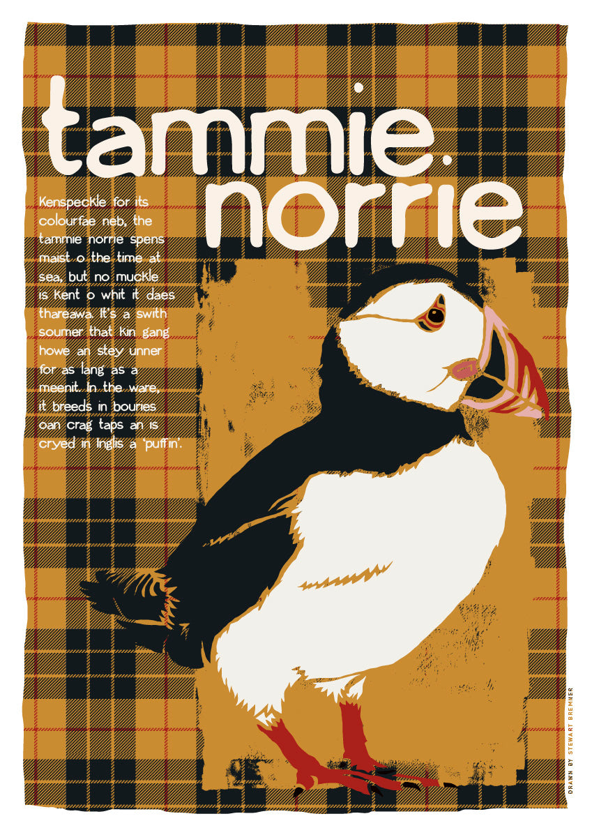 Tammie norrie oan tartan – giclée print – Indy Prints by Stewart Bremner