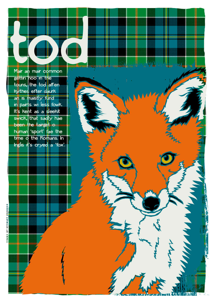 Tod oan tartan – giclée print – Indy Prints by Stewart Bremner