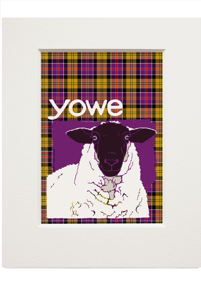 Yowe oan tartan – small mounted print - Indy Prints by Stewart Bremner