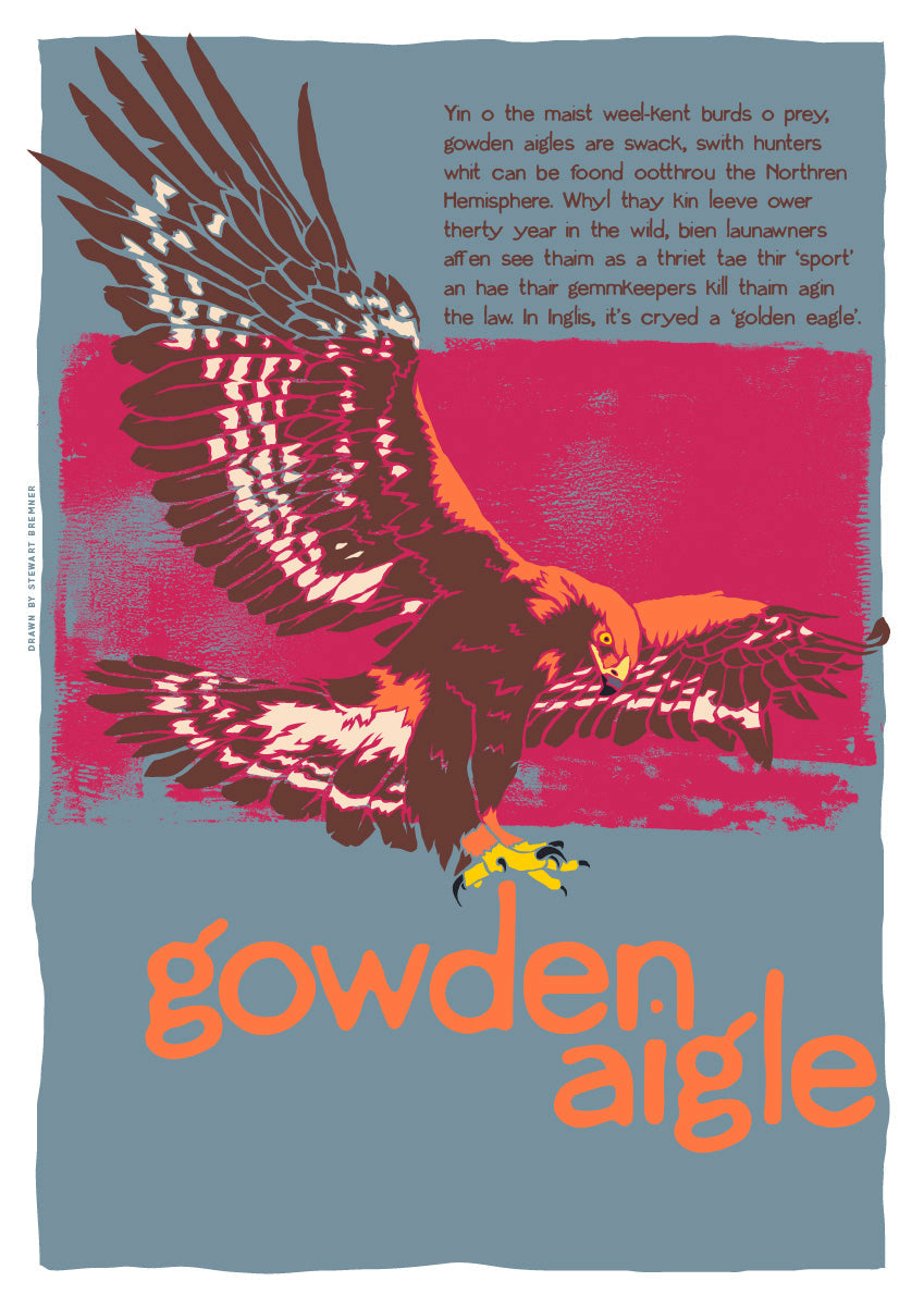 Gowden aigle – giclée print – Stewart Bremner Prints