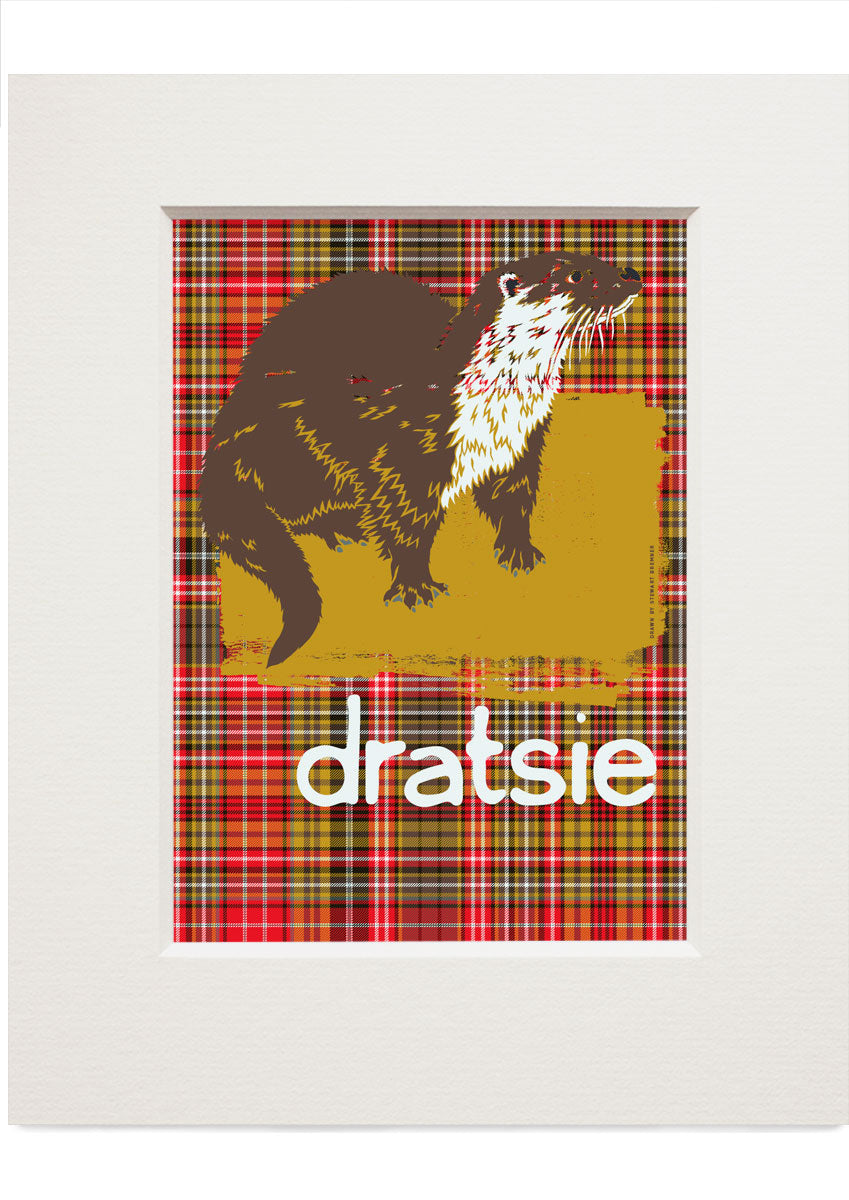 Dratsie oan tartan – small mounted print - Stewart Bremner Prints