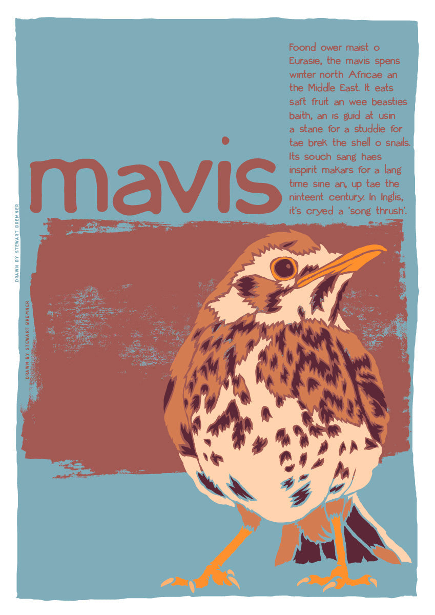 Mavis – giclée print – Stewart Bremner Prints