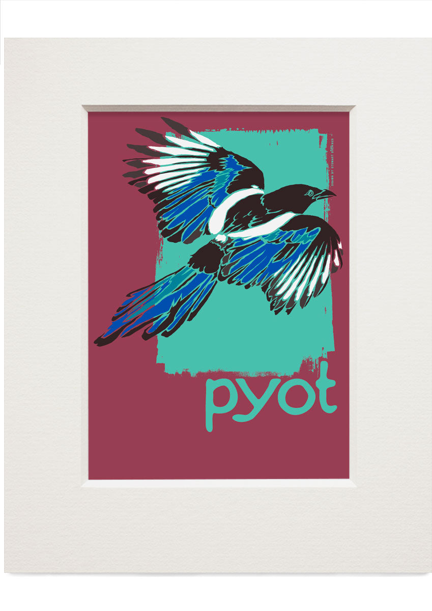 Pyot – small mounted print - Stewart Bremner Prints