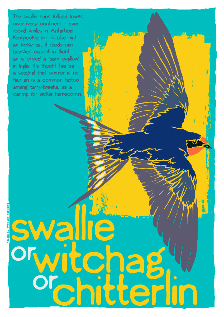 Swallie or witchag or chitterlin – poster