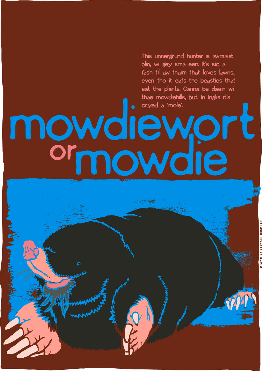 Mowdiewort or mowdie – giclée print