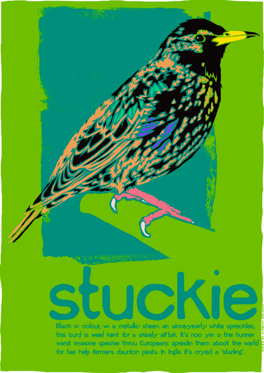Stuckie – giclée print