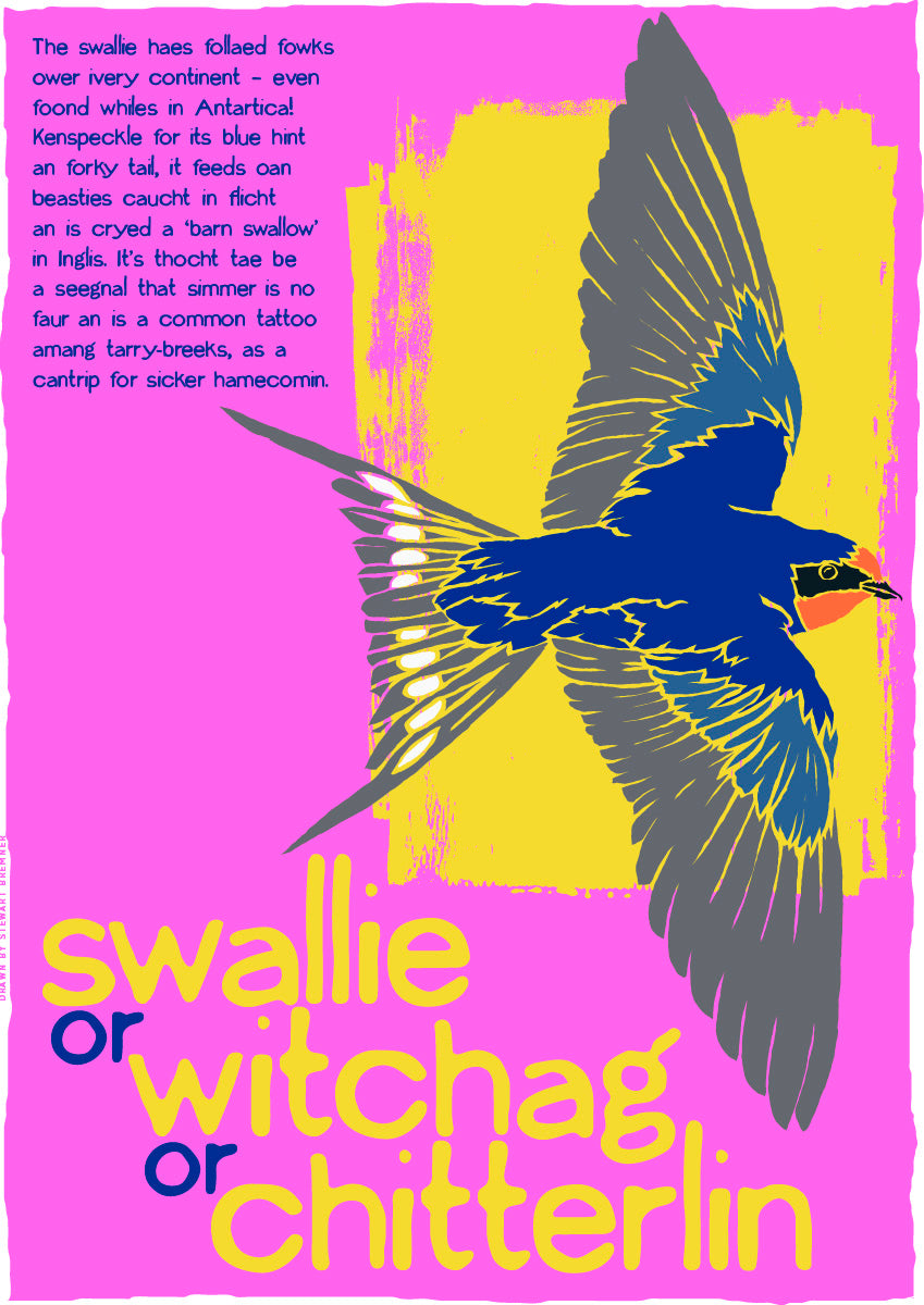 Swallie or witchag or chitterlin (pink) – poster