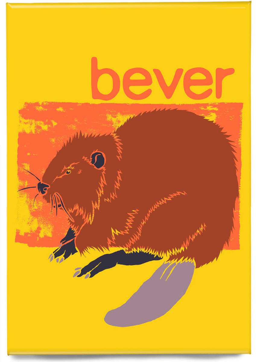 Bever – magnet