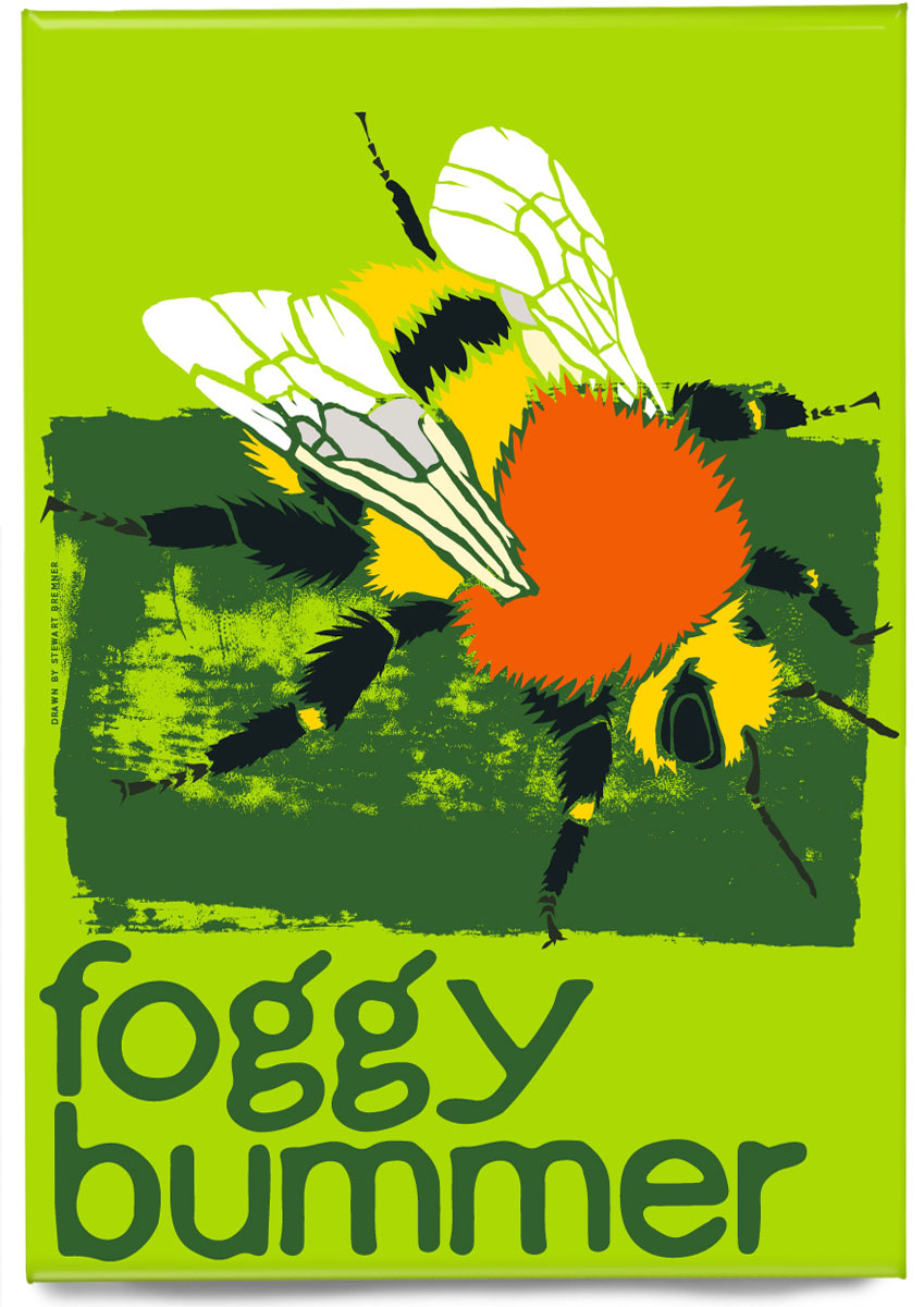 Foggy bummer (green) – magnet