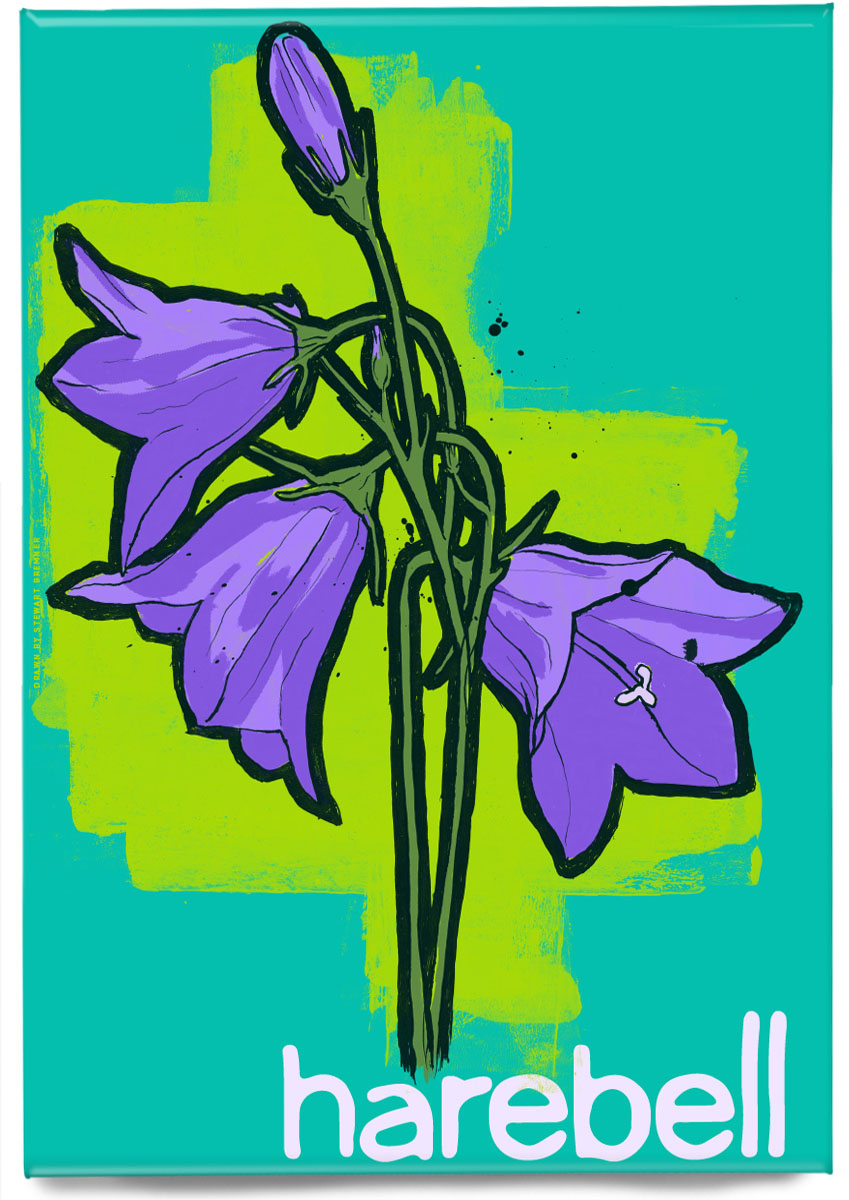 Harebell – magnet
