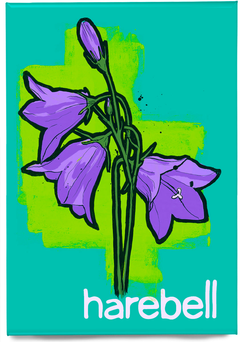 Harebell – magnet