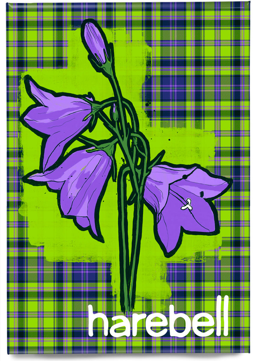 Harebell oan tartan – magnet
