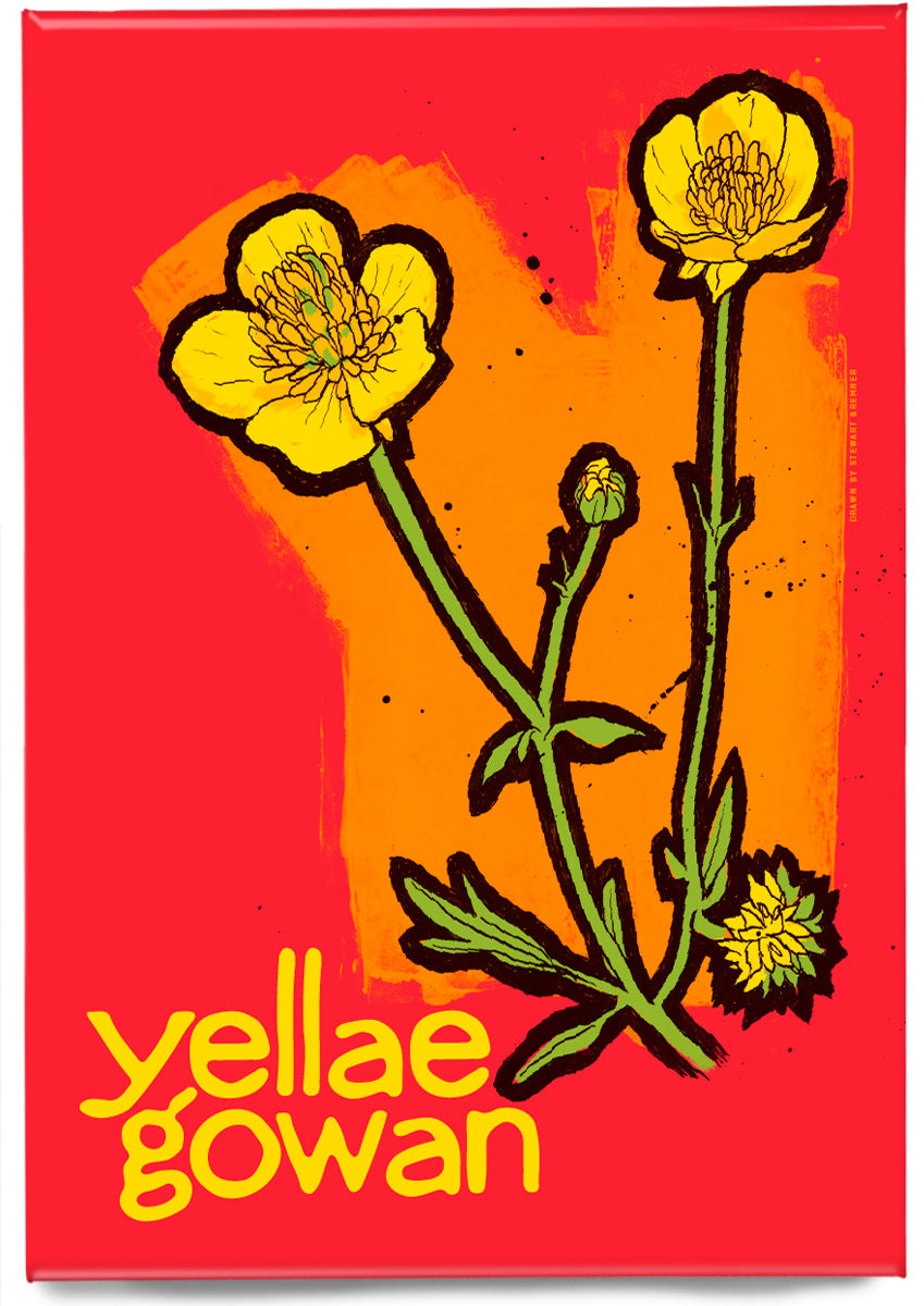 Yellae gowan – magnet