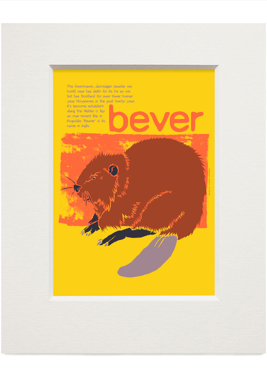 Bever – small mounted print