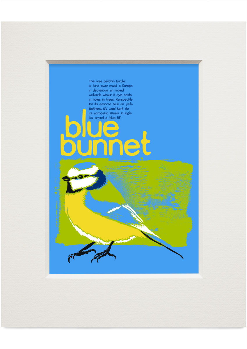 Blue bunnet – small mounted print