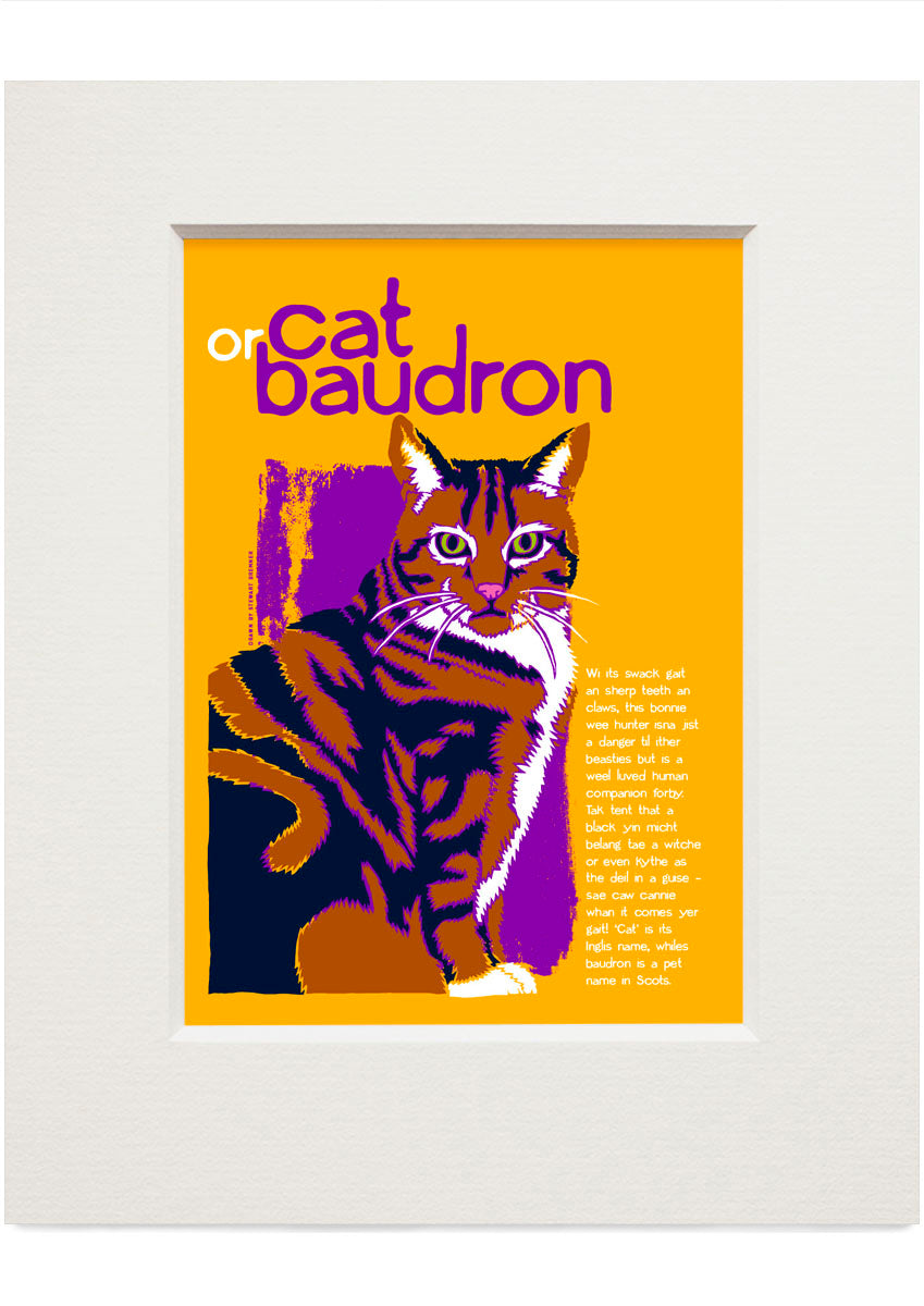 Cat or baudron (yellow) – small mounted print