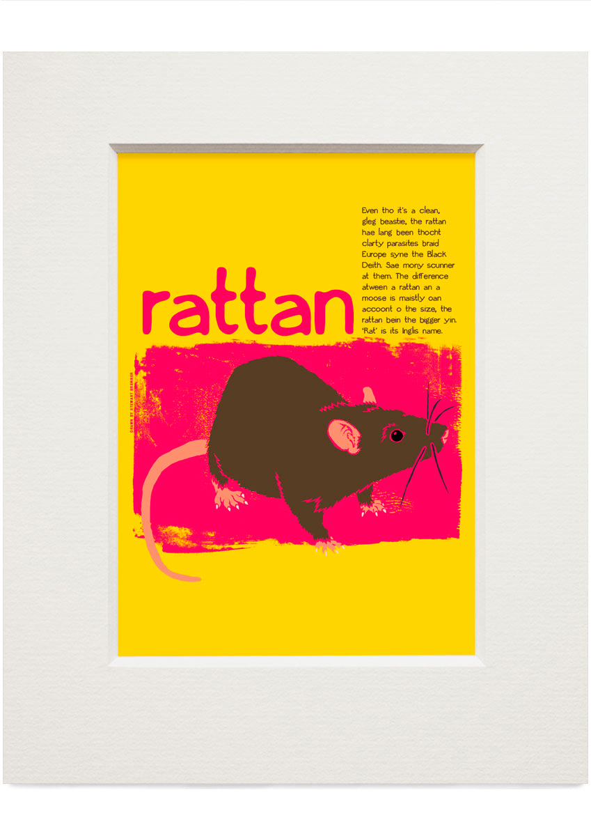 Rattan – small mounted print