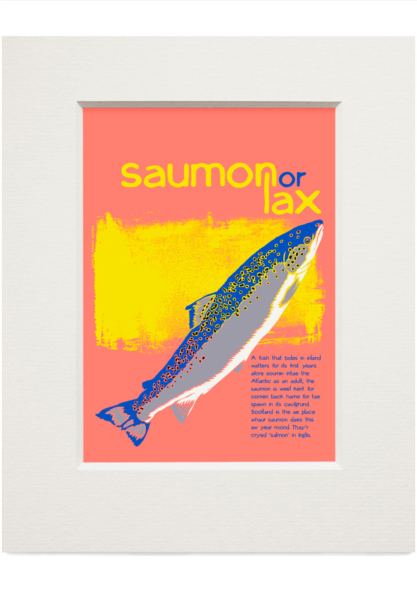 Saumon or lax – small mounted print