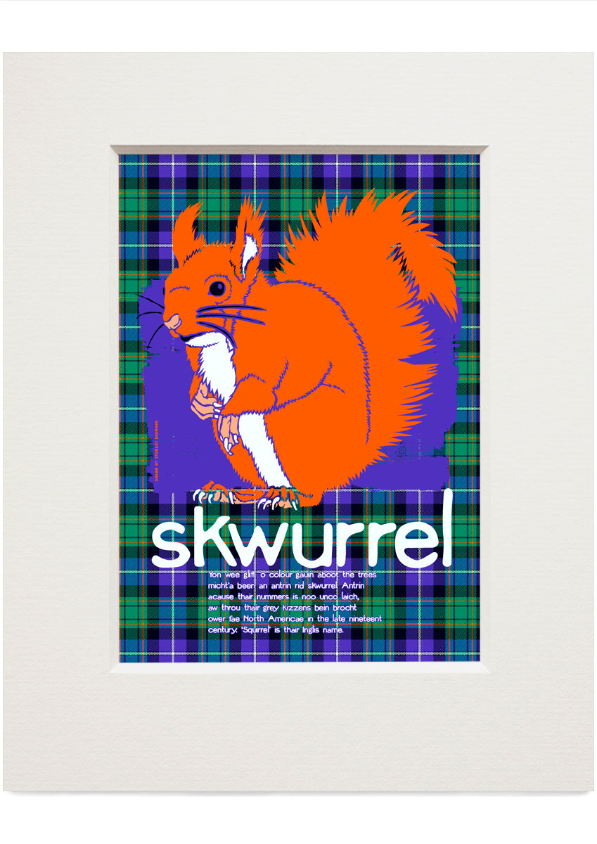 Skwurrel oan tartan (blue) – small mounted print