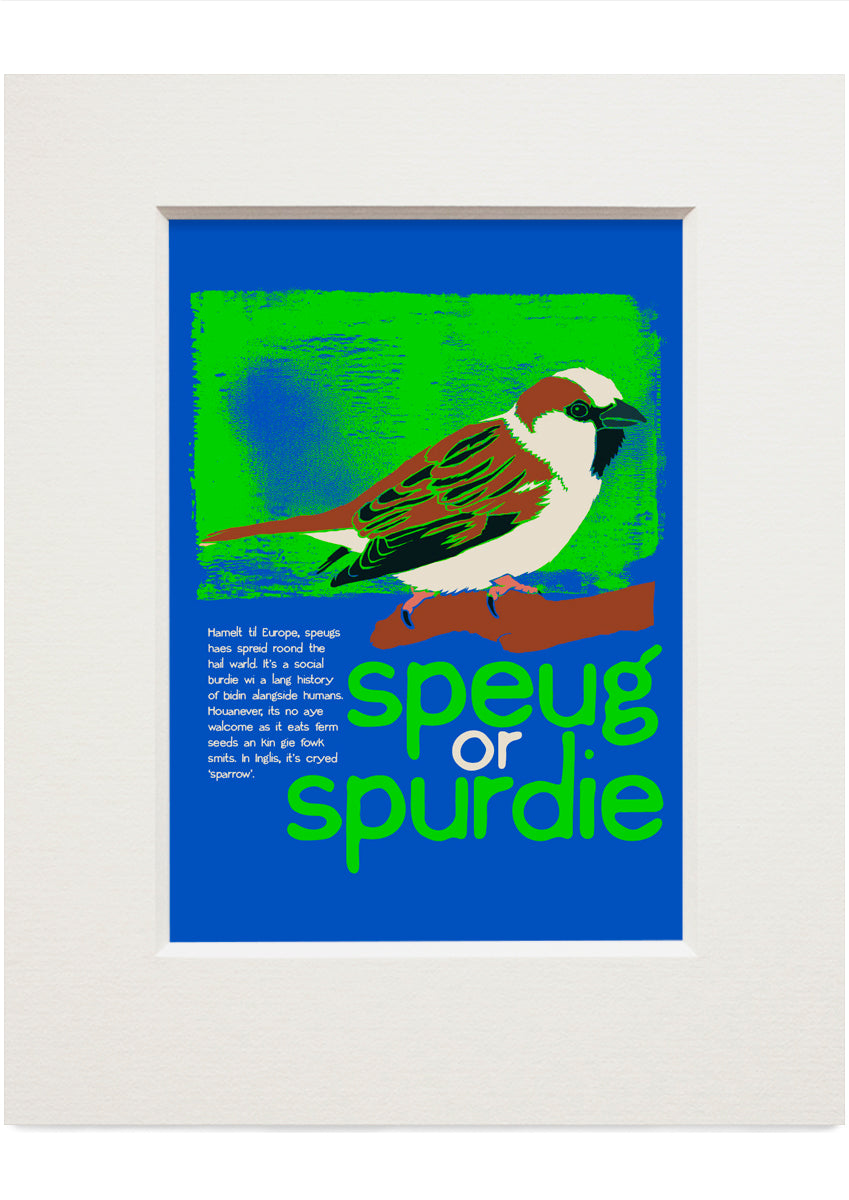 Speug or spurdie – small mounted print