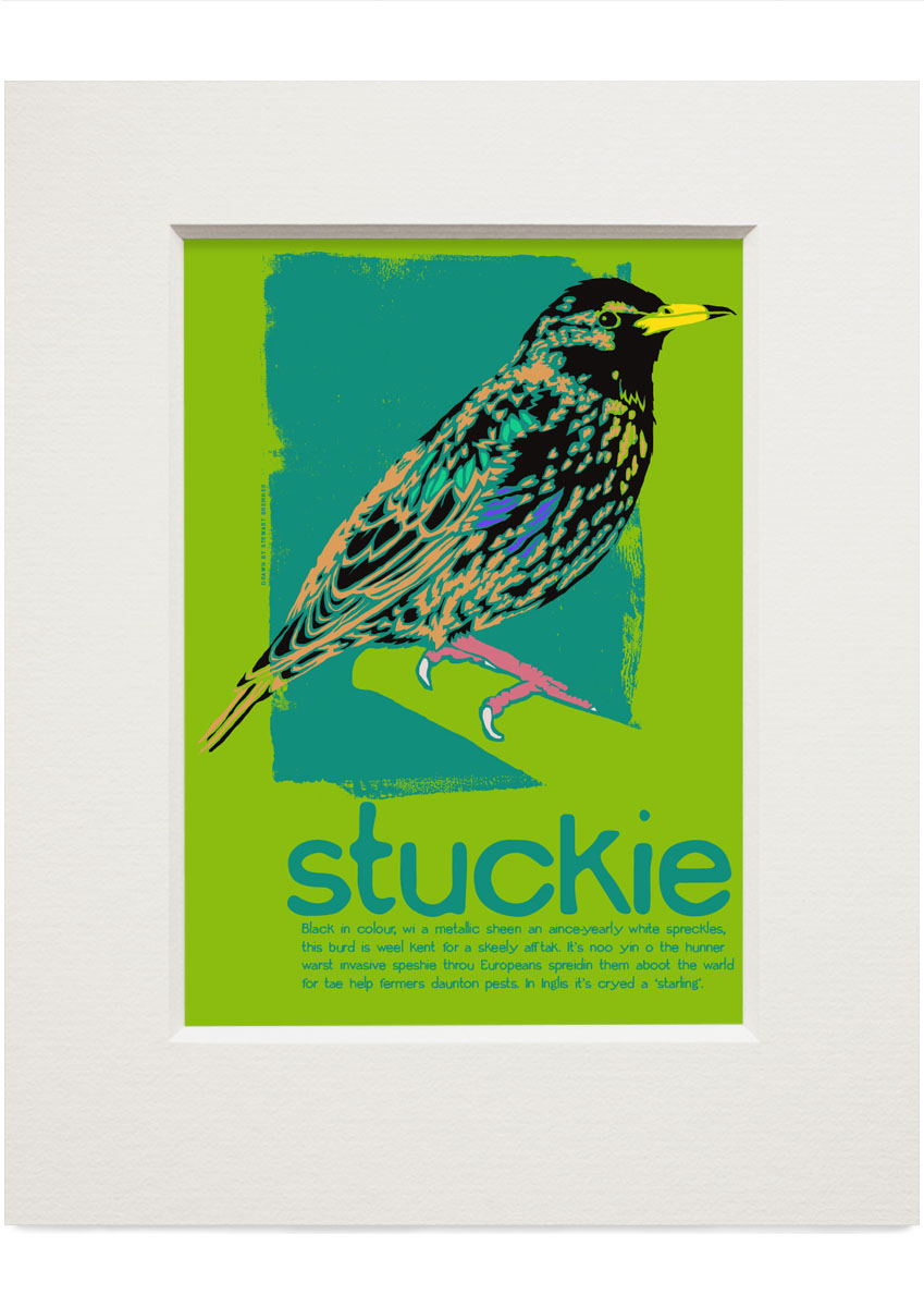 Stuckie – small mounted print