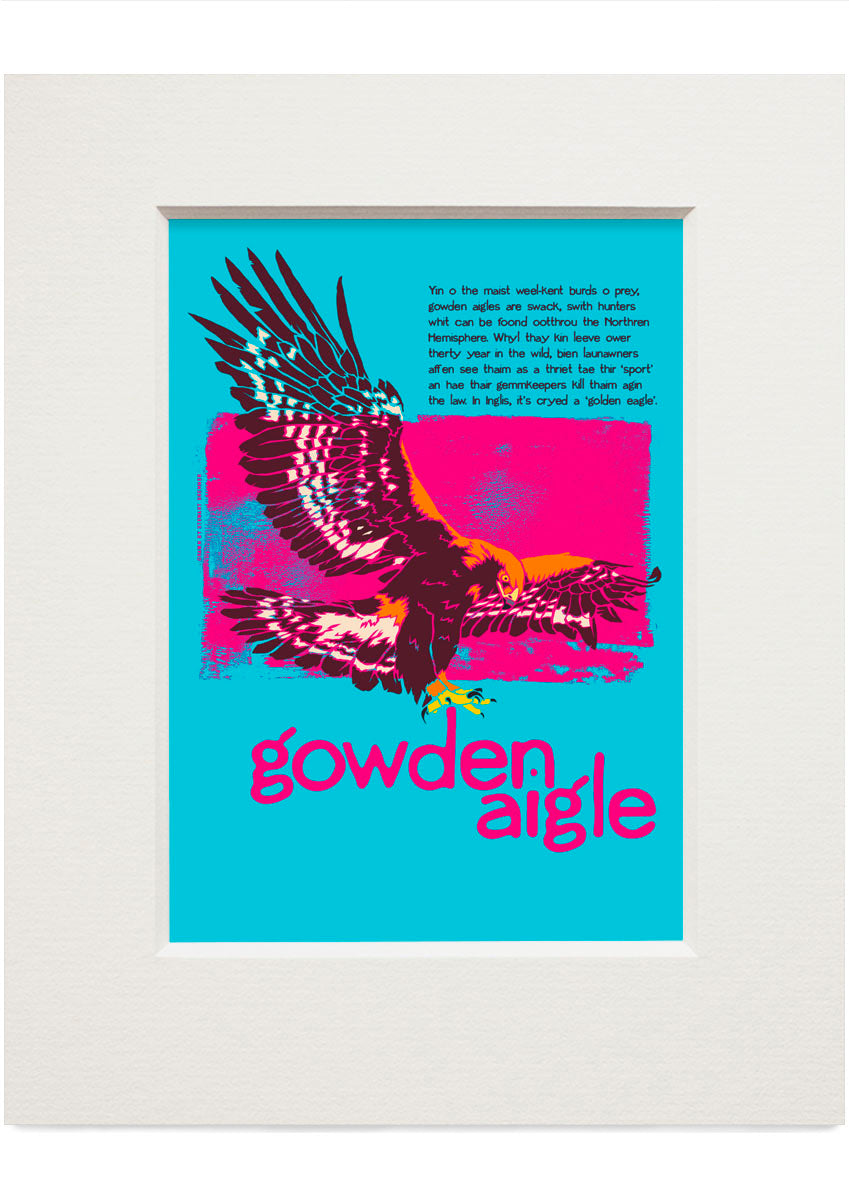 Gowden aigle – small mounted print