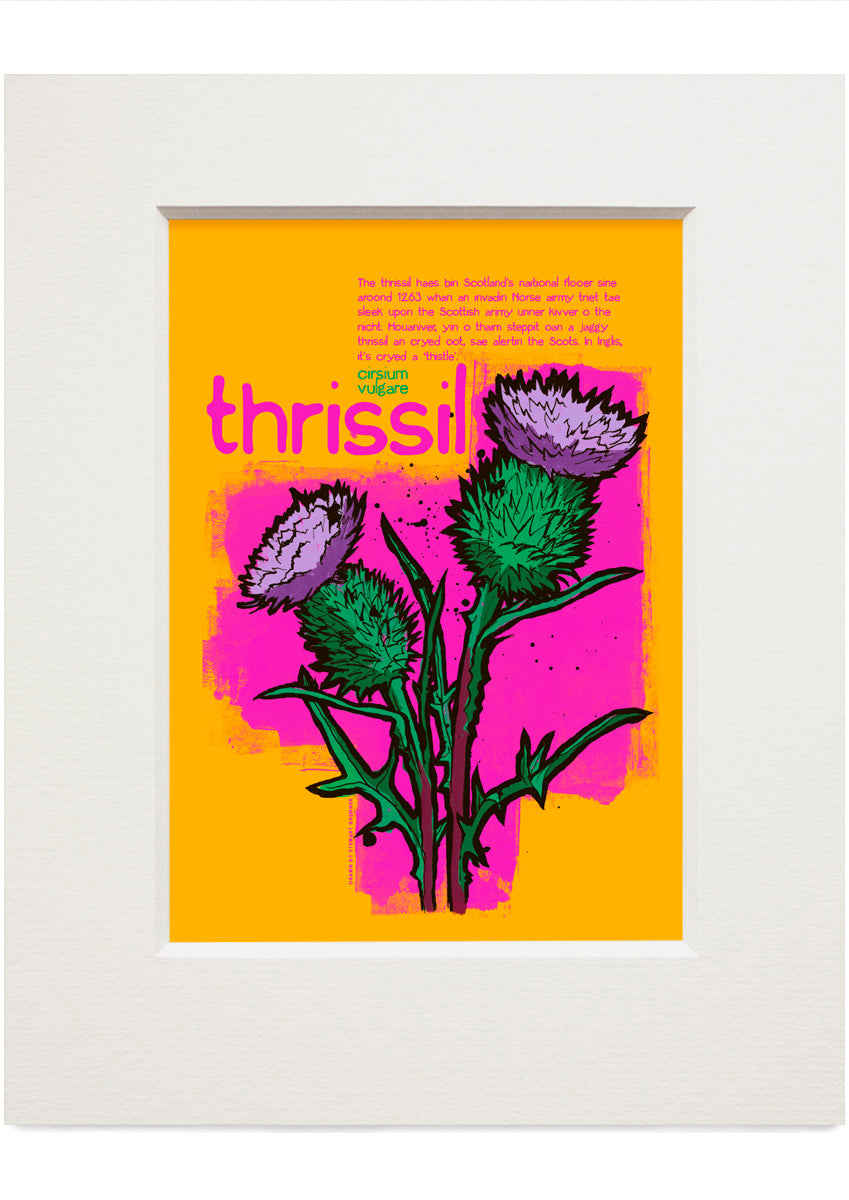 Thrissil – small mounted print