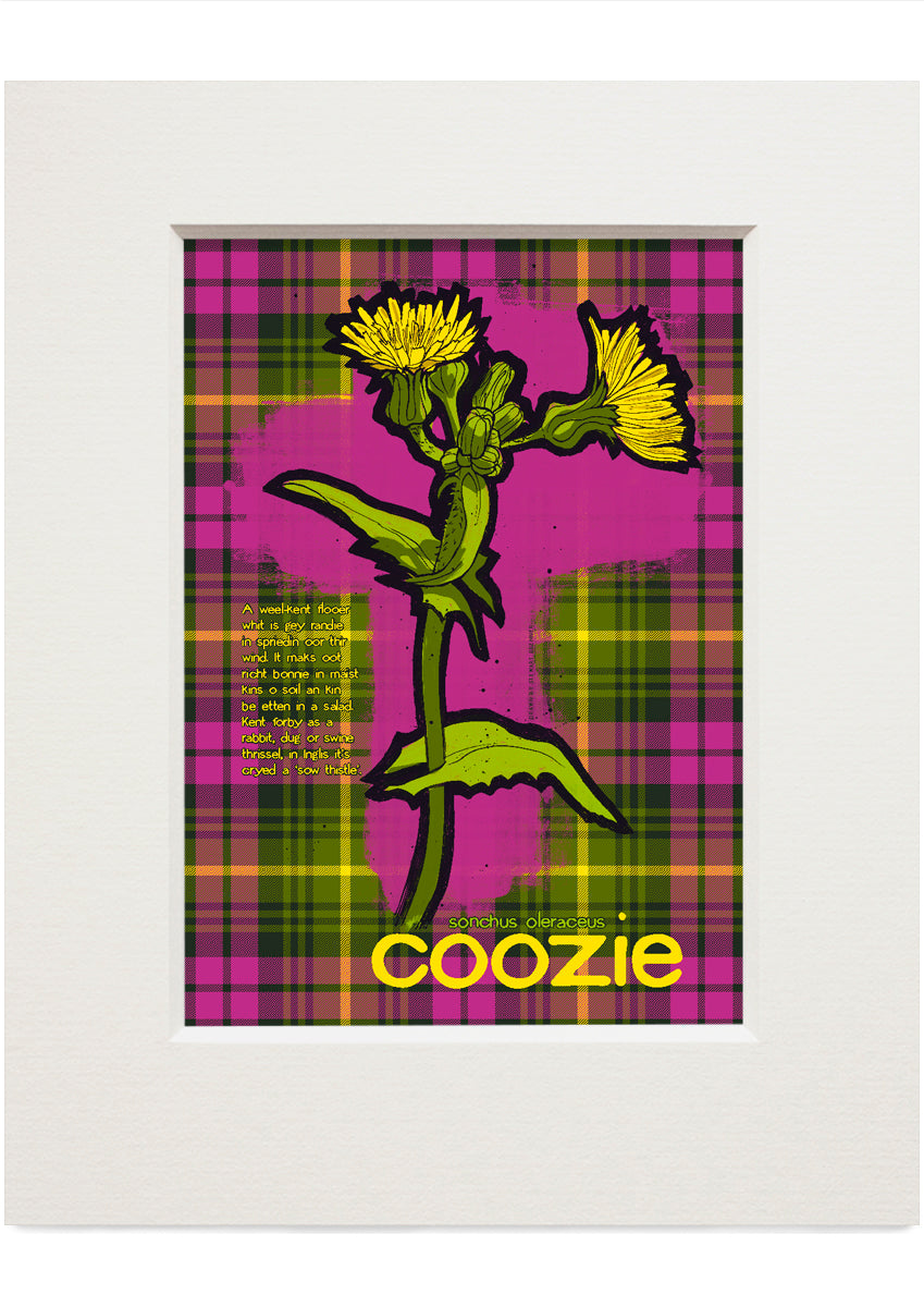 Coozie oan tartan – small mounted print