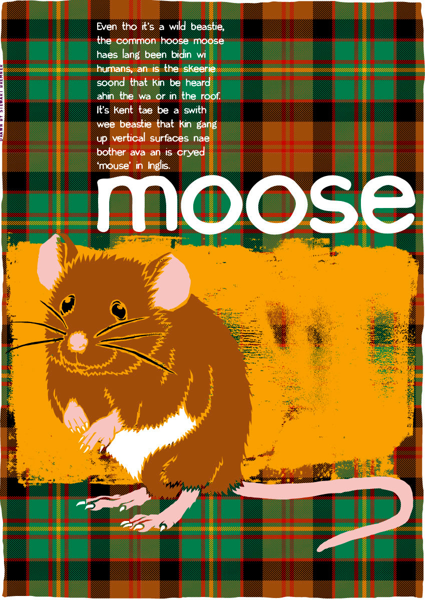 Moose oan tartan (yellae) – poster
