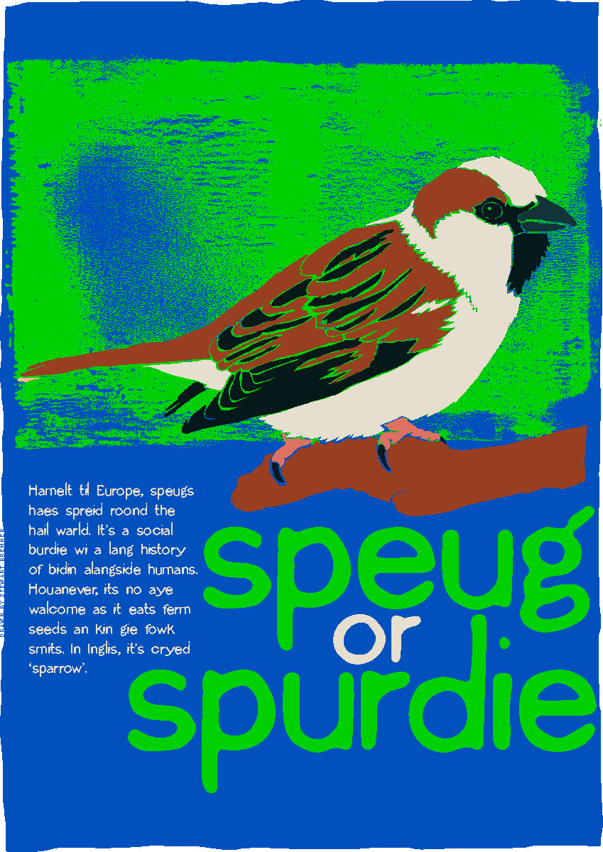 Speug or spurdie – poster