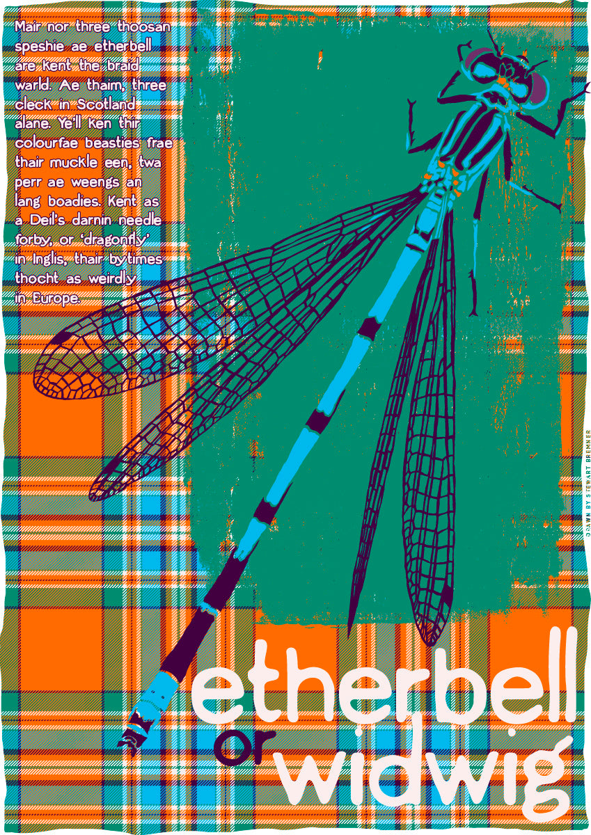 Etherbell or widwig oan tartan – giclée print