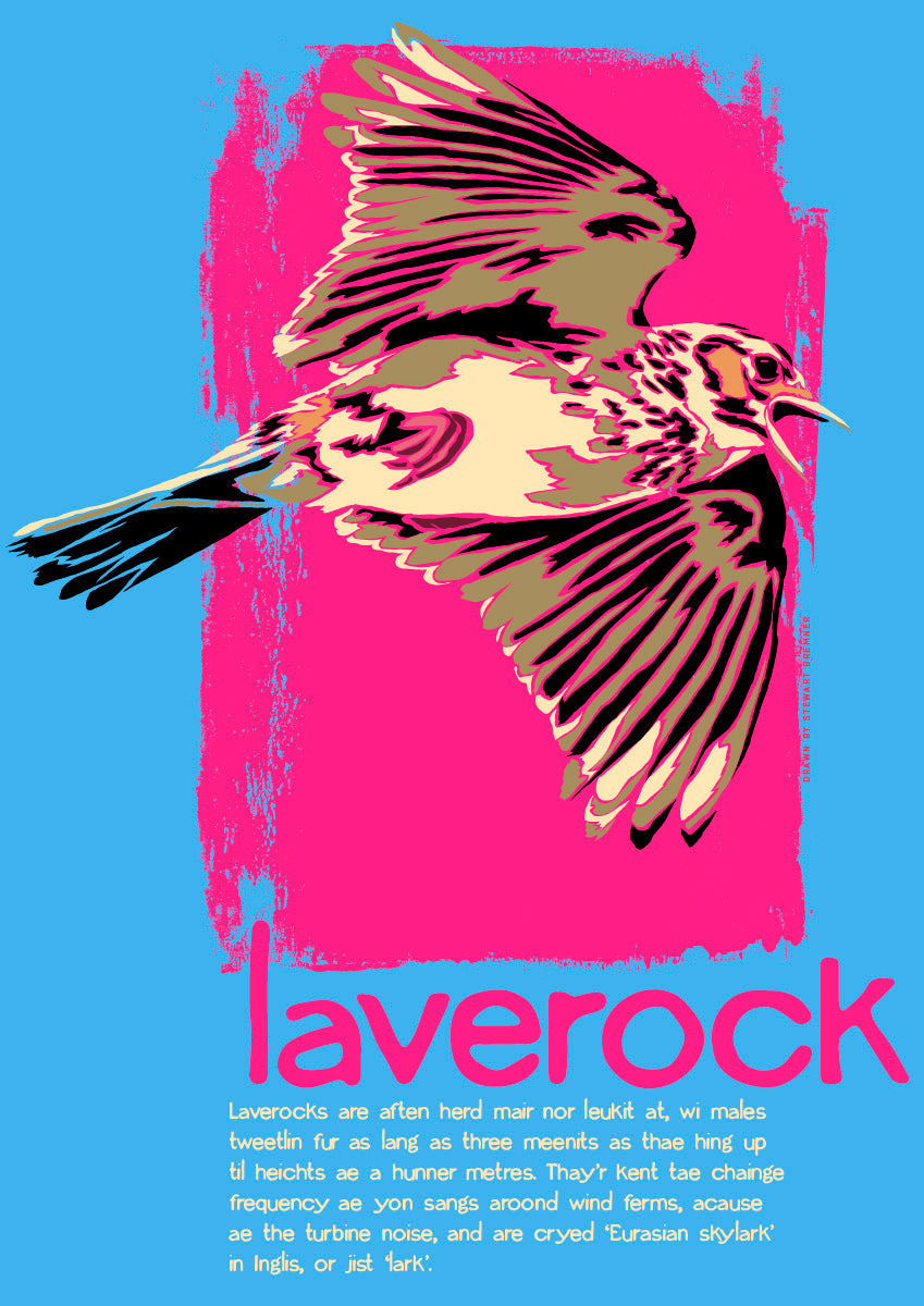 Laverock (blue) – poster