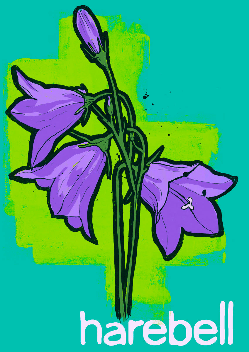 Harebell – poster