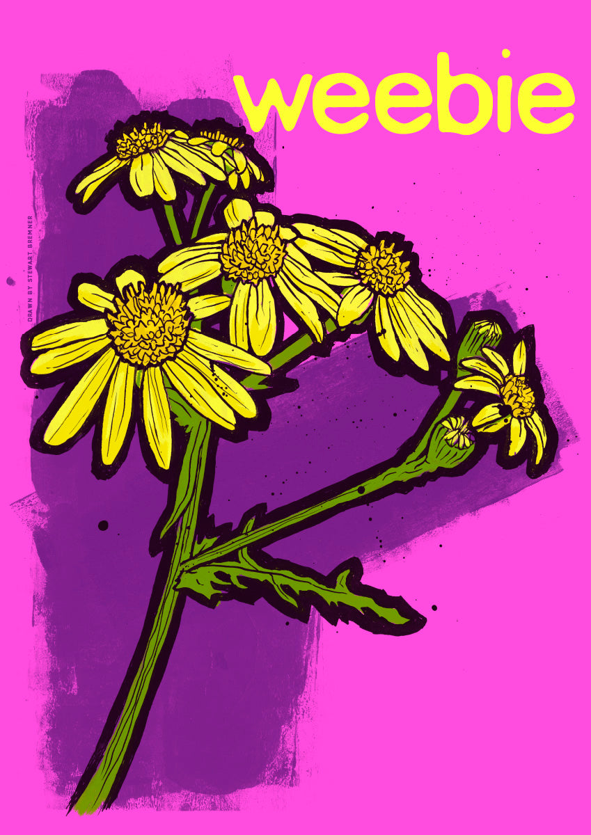 Weebie – poster