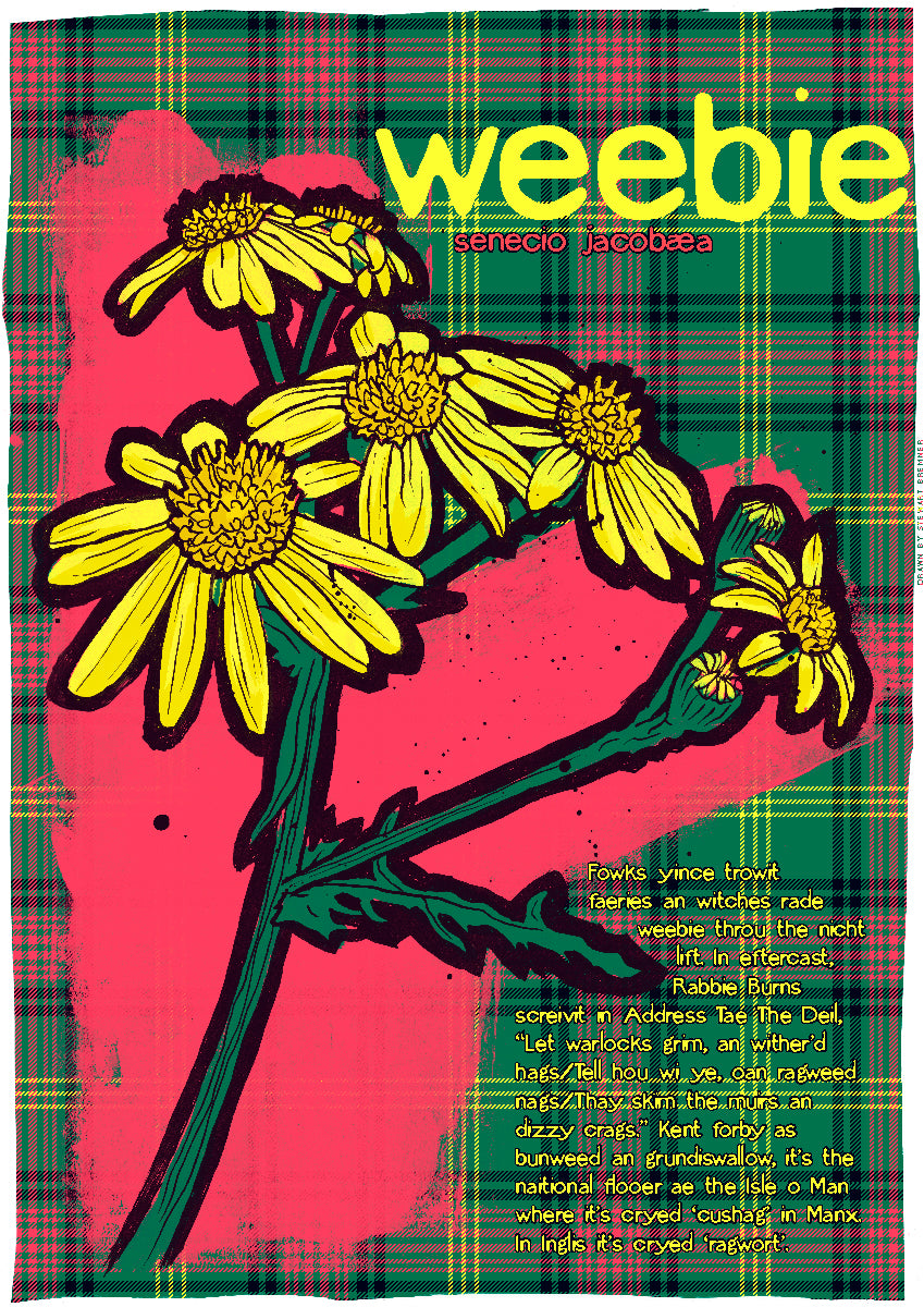 Weebie oan tartan – giclée print