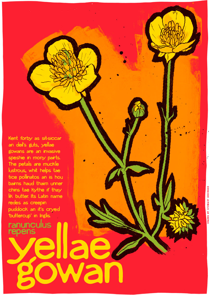 Yellae gowan – giclée print