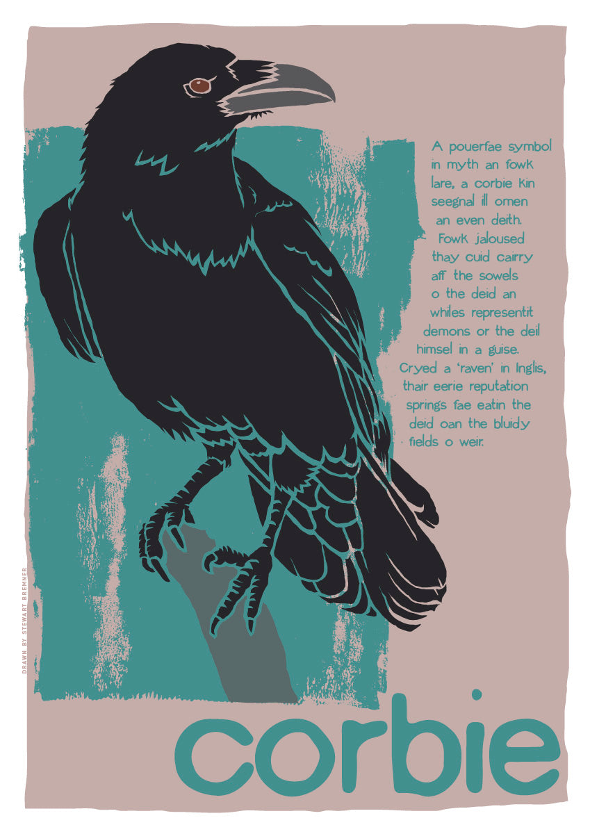 Corbie – giclée print – Indy Prints by Stewart Bremner